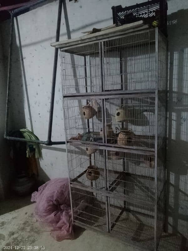 Parrots Cage 5