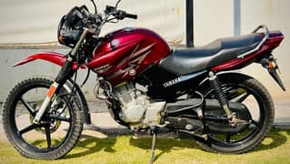 YAMAHA YBR bike for sale