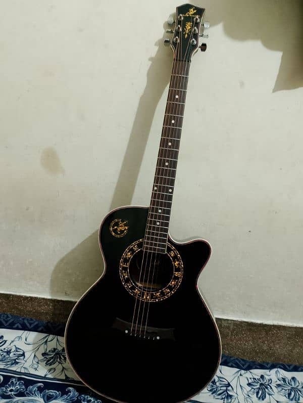 Swift Horse New Guitar for sale 3