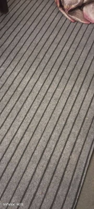 gray carpet with under lay 2