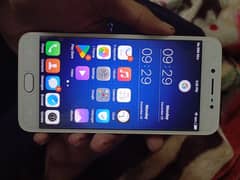 Vivo Y67 Excellent Condition