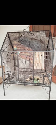 Iron fancy cage for sale