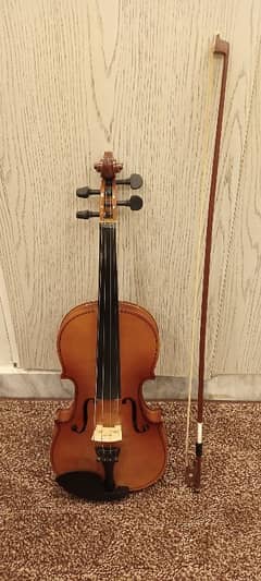 Slightly used violin with hard case.