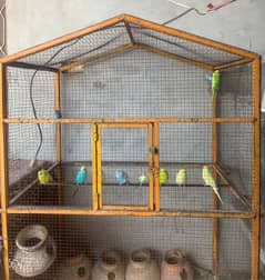 Metal cage with parrots for sale . urgent sale