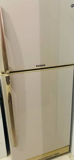 Pel refrigerator (large size)