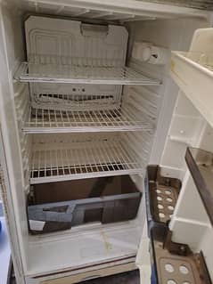 Phillips Fridge