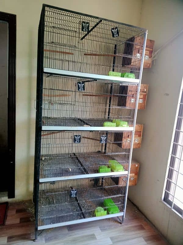 Lovebirds Cages Slightly Used 1