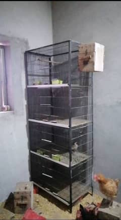 parrots cage and hens cage for sale