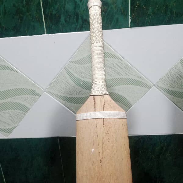 Original Coconut wood (sri lankan) Double pressed bat 1