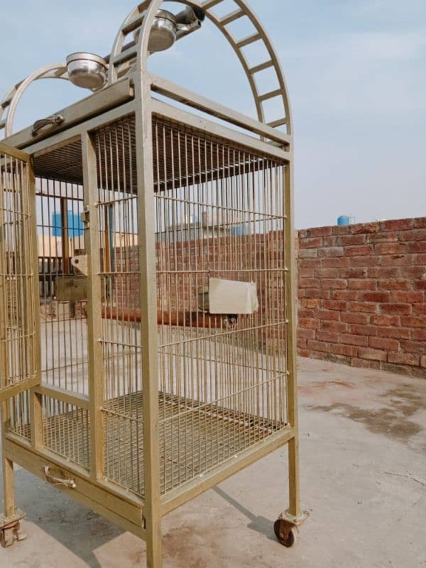 Birds Cage 2