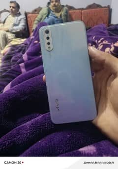 VIVO