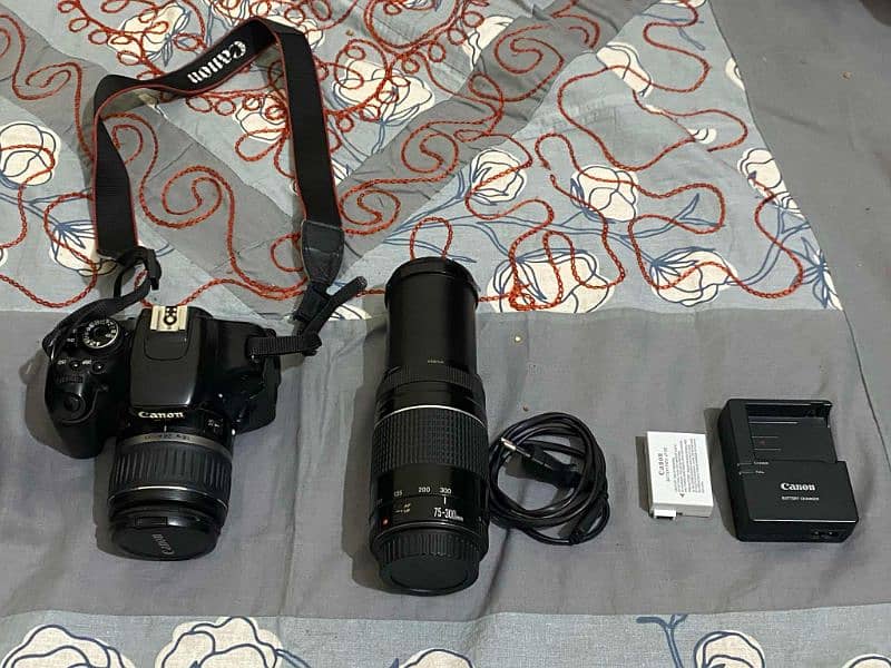 Canon 600d with 18-55mm and Canon 75-300mm lenses with all accessories 1