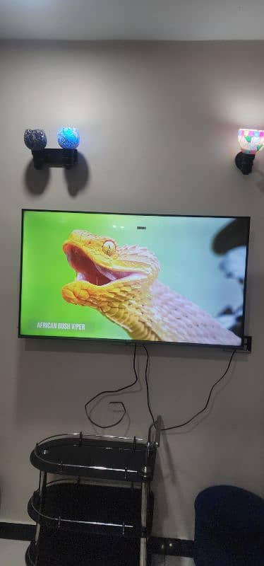 hisense smart led. NOT ek side calar fed hogya hy 2