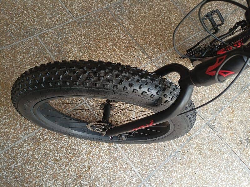 Fat tyre Bicycle 2