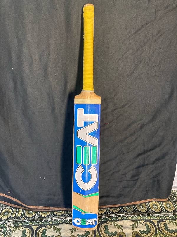 Hard Ball Cricket Bat 0