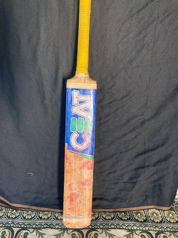 Hard Ball Cricket Bat 1