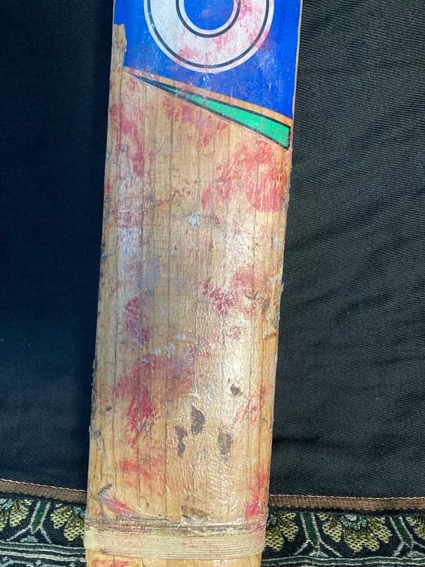 Hard Ball Cricket Bat 4