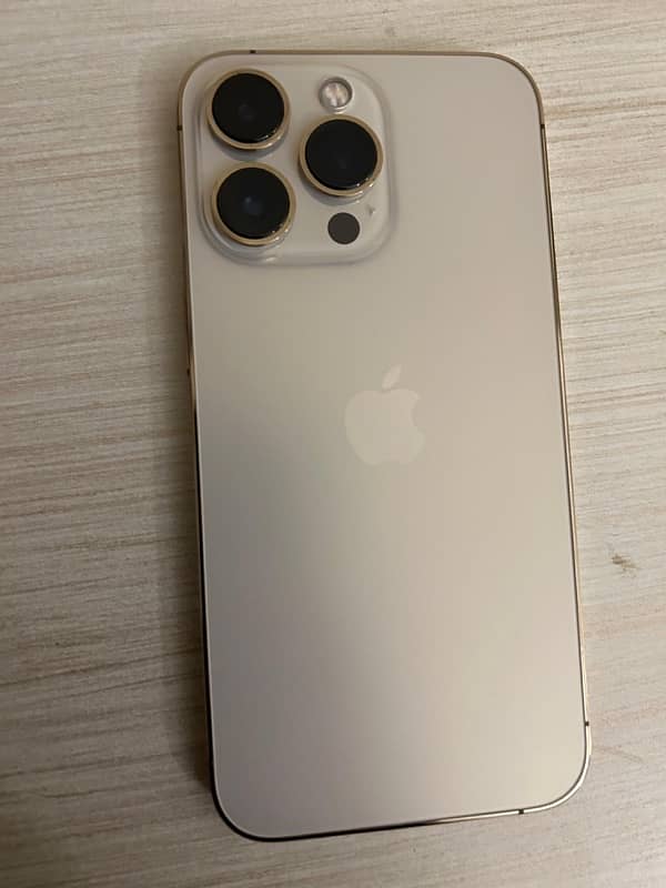 iPhone 13 Pro 1