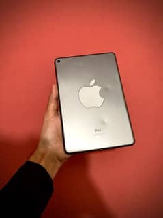 ipad mini 5