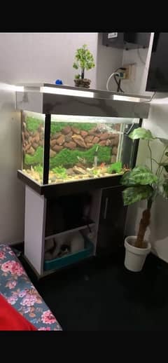 fish aquarium good condition with fishes