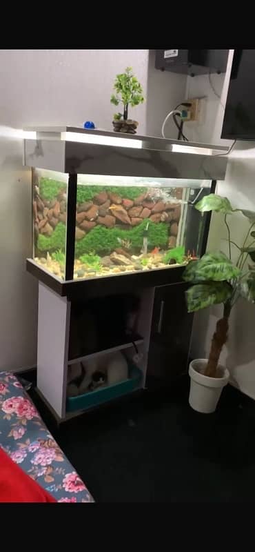 fish aquarium good condition with fishes 0