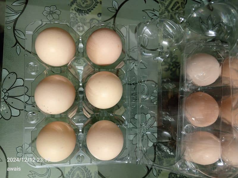 Desi Eggs 2