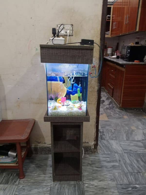 fish aquarium 1