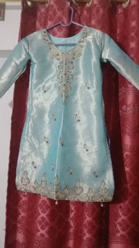 frozi in color (gharara available) 1