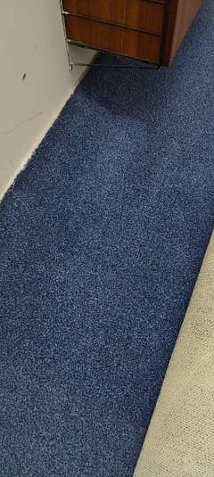 carpet