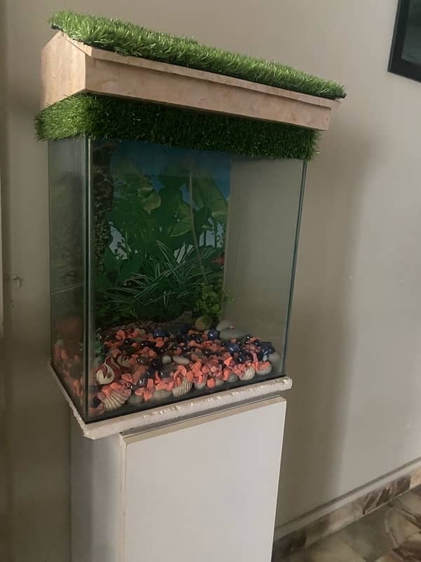 Fish Aquarium 4