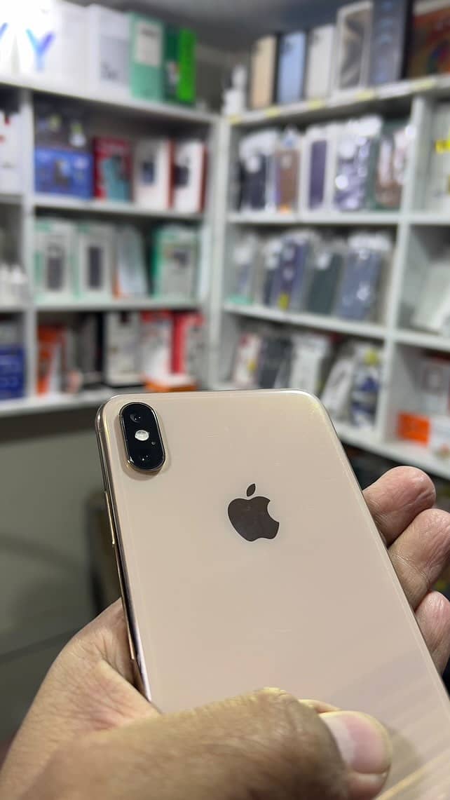 XS Max 256 GB 6