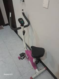 pink gym cycle