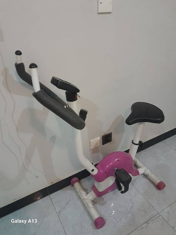 pink gym cycle 2