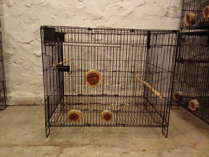 Parrot Cages for Sale – Perfect for Lovebirds! (Like New) 0