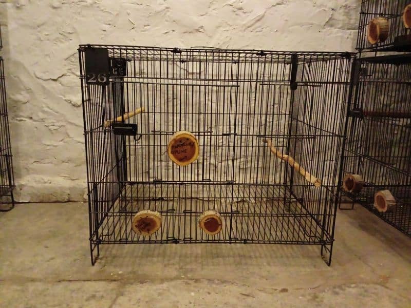 Parrot Cages for Sale – Perfect for Lovebirds! (Like New) 4