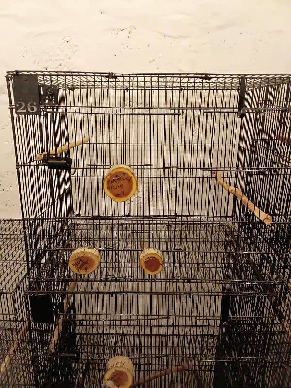 Parrot Cages for Sale – Perfect for Lovebirds! (Like New) 7