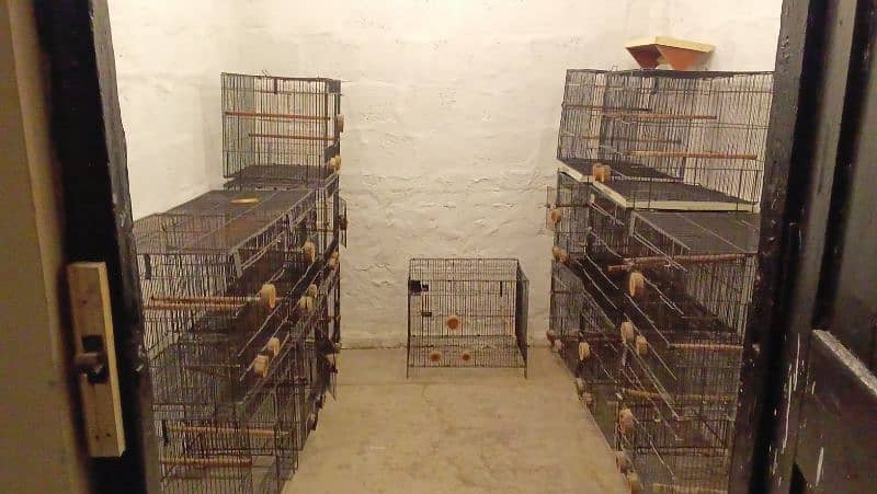 Parrot Cages for Sale – Perfect for Lovebirds! (Like New) 9