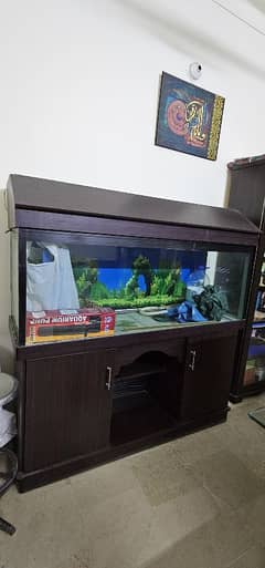 Fish Aquarium