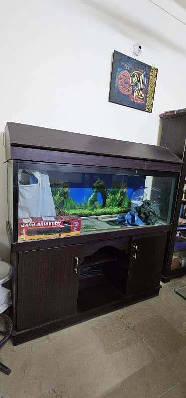 Fish Aquarium 0