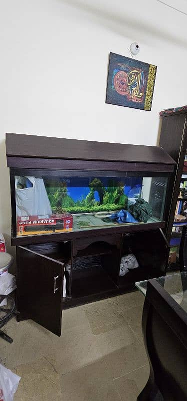 Fish Aquarium 2