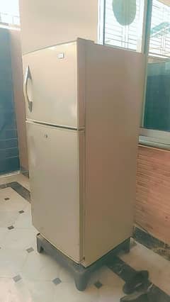 Haider refrigerator medium size