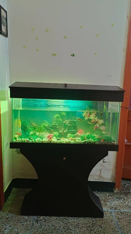 Aquarium with 05 fishs for sale 1