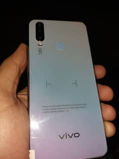 vivo