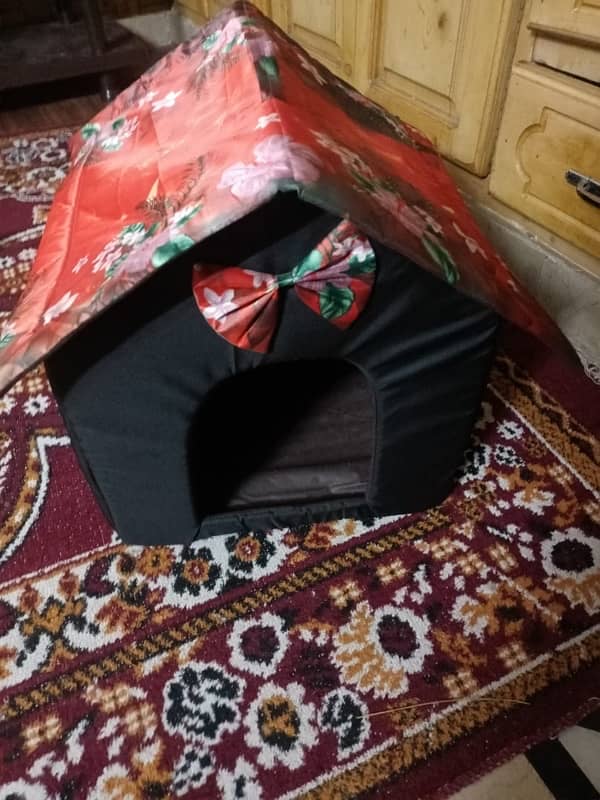 Cat House 1