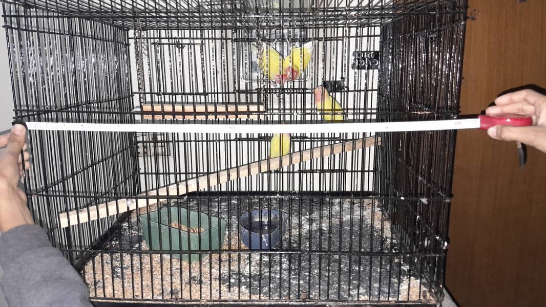 fancy iron cage and one single portion cage for sale 2