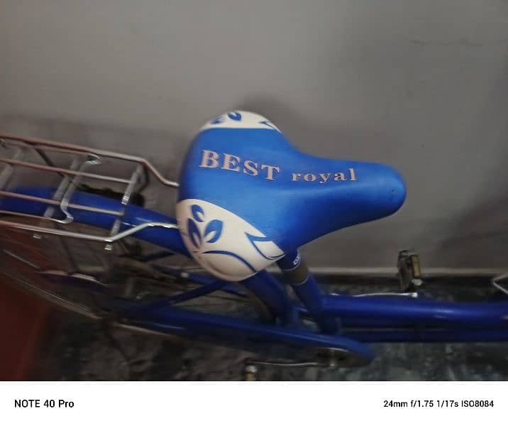 bicycle with comfortable seat 4