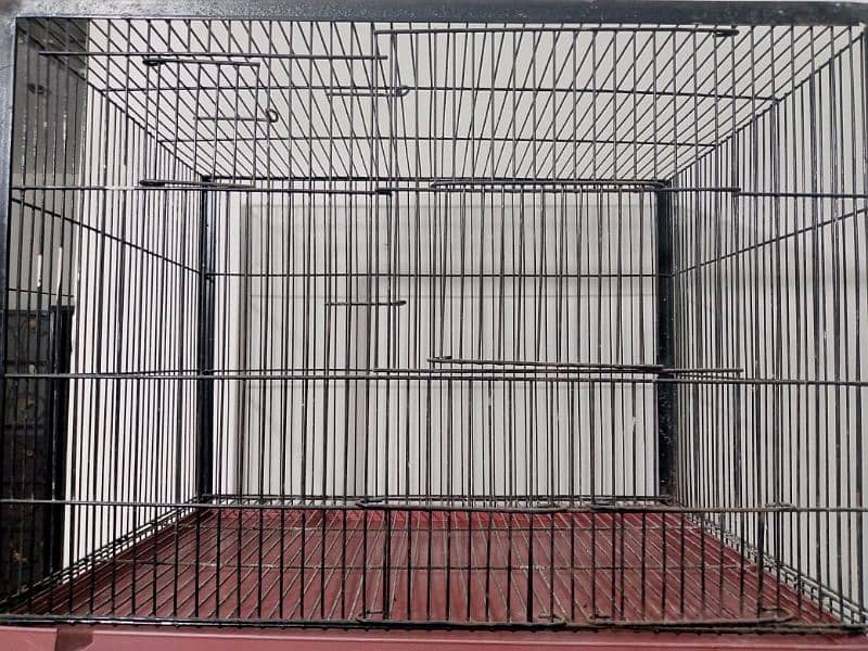 cage for sale 4