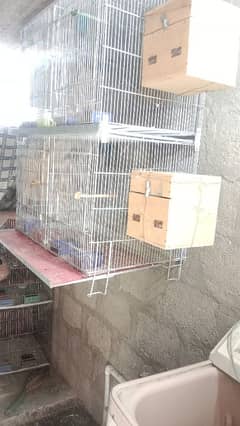 4 potion folding new cage whit box