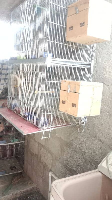 4 potion folding new cage whit box 0