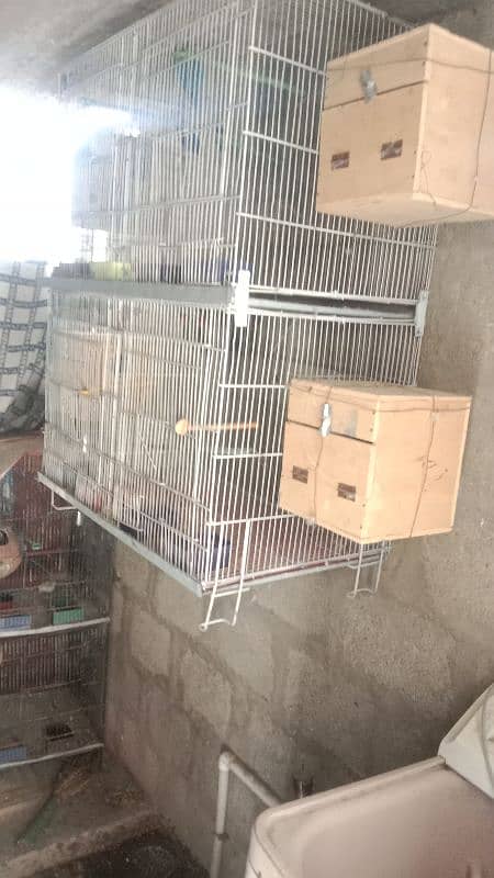 4 potion folding new cage whit box 1